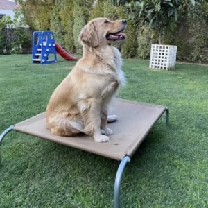 Reposera talla M (lona normal coyote)