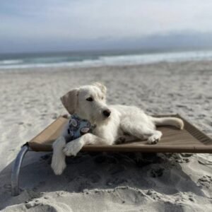 Reposera talla S (lona normal coyote)