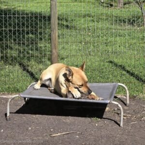 Reposera talla M (lona anti rasguños gris)