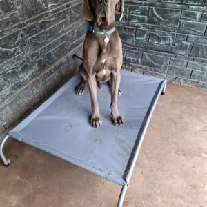 Reposera talla XL (lona anti rasguños gris)