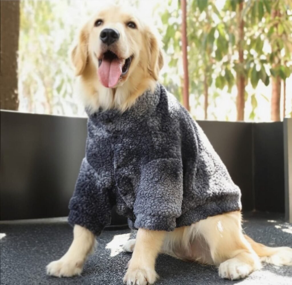 Chaqueta Chiporro Suave talla M (Gris)