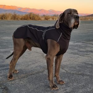 Chaqueta Acolchada perros gigantes (XXL)